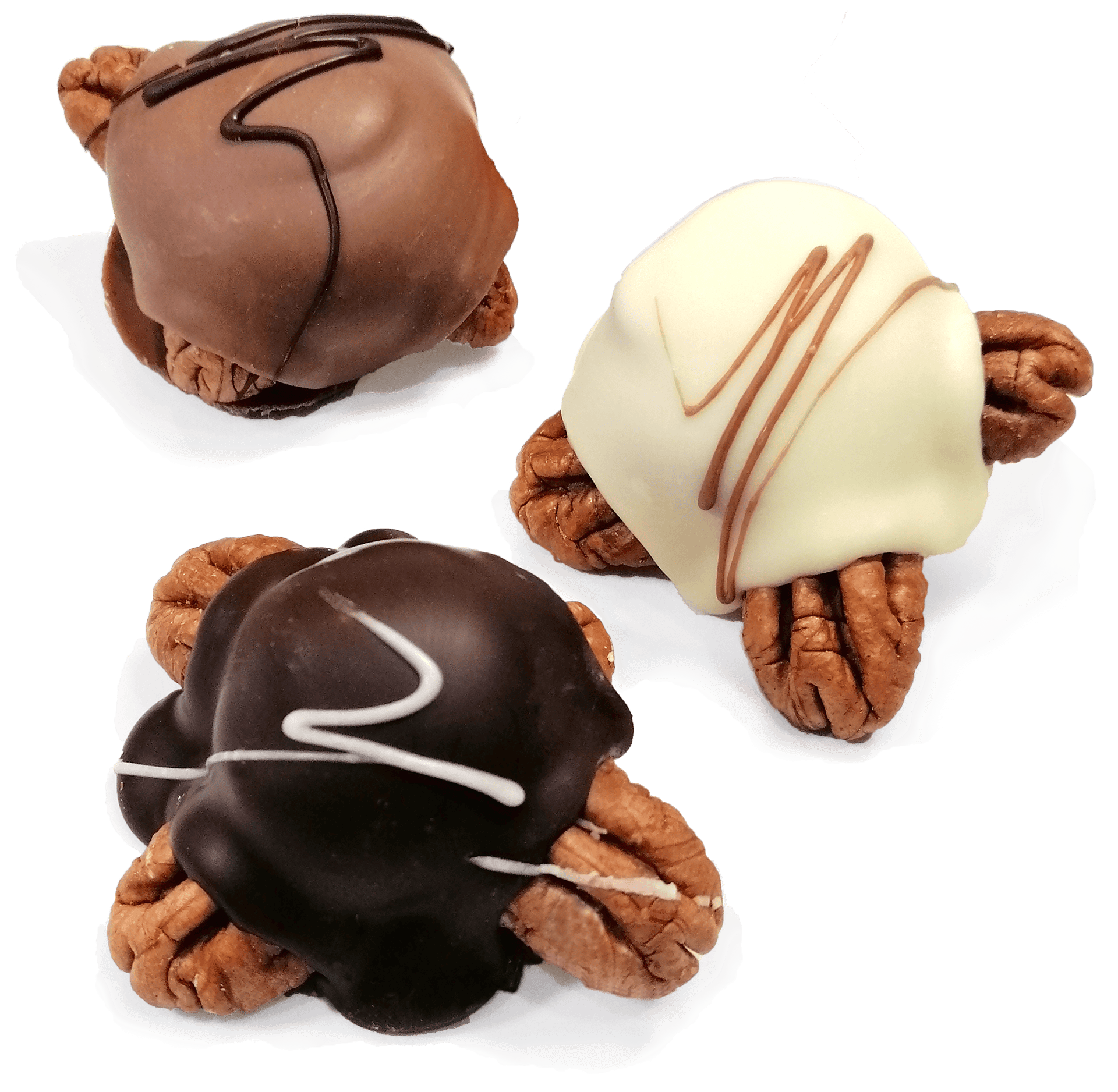 Tortugas de Nuez